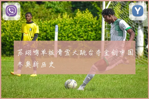 苏翊鸣单板滑雪大跳台夺金创中国冬奥新历史