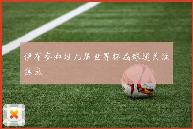 伊布参加过几届世界杯成球迷关注焦点