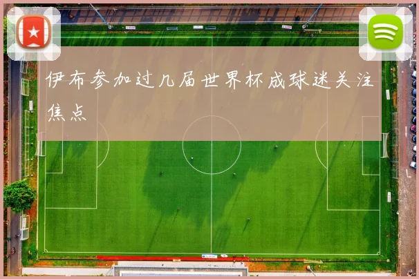 伊布参加过几届世界杯成球迷关注焦点